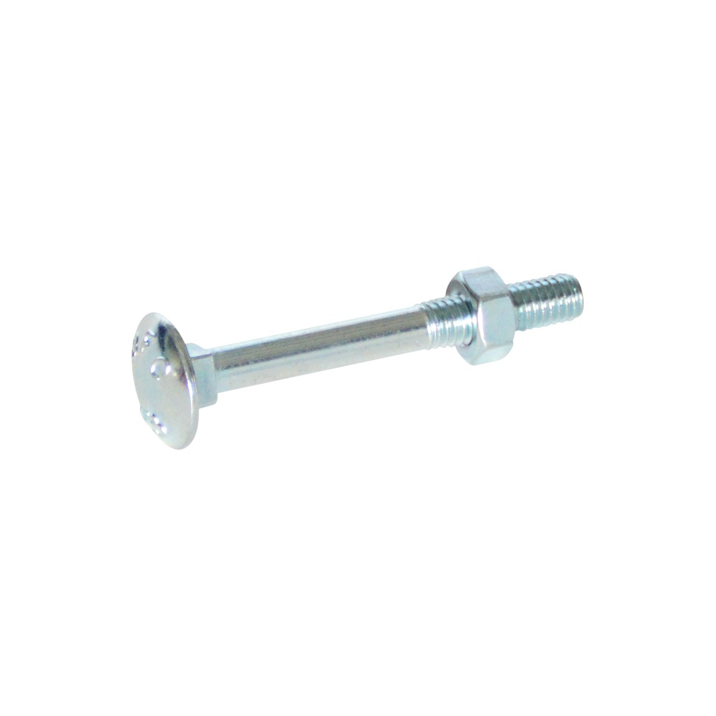 Slotbout met moer M10 x 100 mm (per 50 stuks)