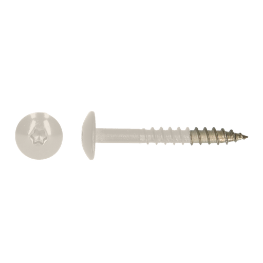 [2601506] HPL schroef Tx20 4,8x38 R9001 A4 Doos (100 st)