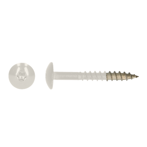 [2601508] HPL schroef Tx20 4,8x38 R9010 A4 Doos (100 st)